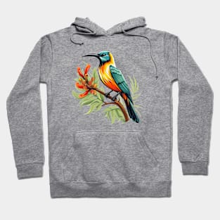 Sunbird Hoodie